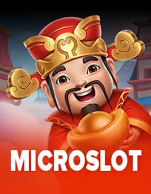 MICROSLOT