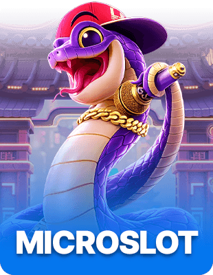 MICROSLOT
