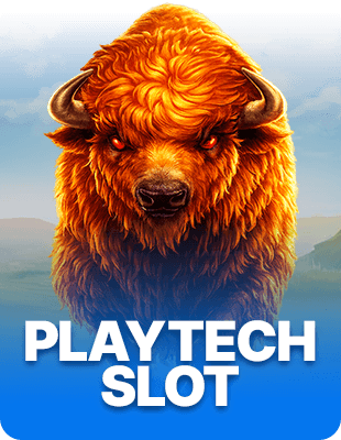 PLAYTECH SLOT