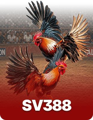 SV388